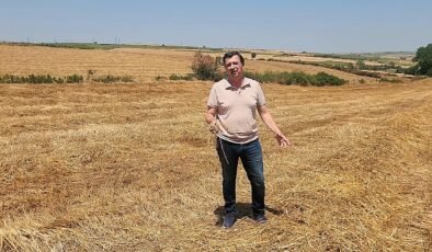 Üreticinin samanı tarlada bekliyor!