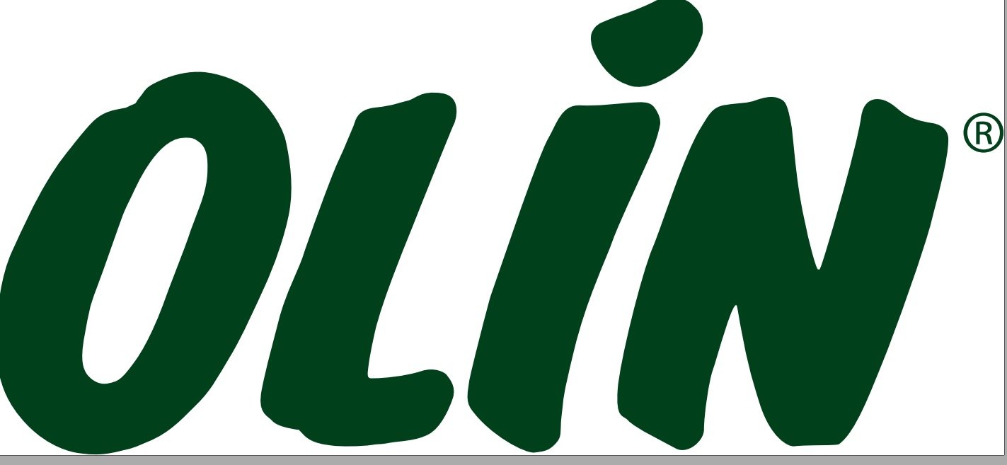 Geçerli görselin alternatif metni yok. Dosya adı: olin1.jpg
