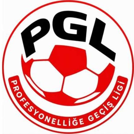 Geçerli görselin alternatif metni yok. Dosya adı: pgl1.jpg