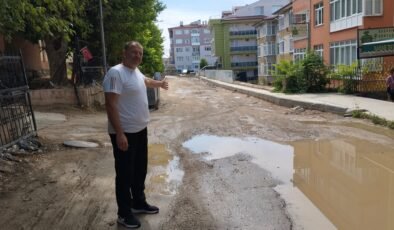 Muhtardan yol sitemi