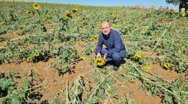 Tekirdağ’da dolu afeti