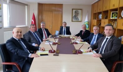 ‘Tarife kontenjanı ayçiceği üreticisini koruyacak’
