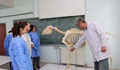 Doğa Tarihi Müzesi’ne bilimsel katkı