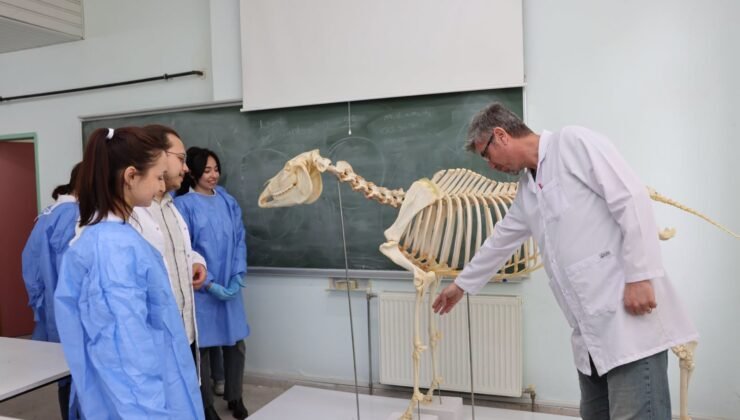 Doğa Tarihi Müzesi’ne bilimsel katkı