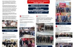 Makak’tan Akgüngör’e cevap