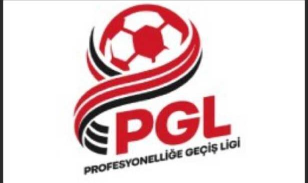 PGL’ne katılımda ek süreç!