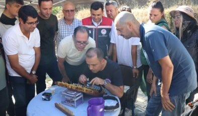 Arı yetiştiriciliğinde uygulamalı eğitim
