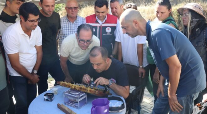 Arı yetiştiriciliğinde uygulamalı eğitim