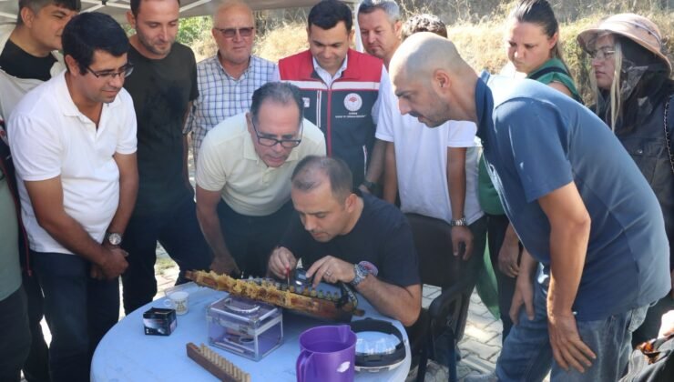 Arı yetiştiriciliğinde uygulamalı eğitim