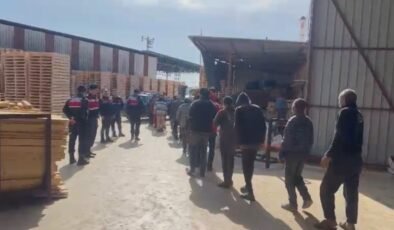 Göçmen kaçakçılarına operasyon