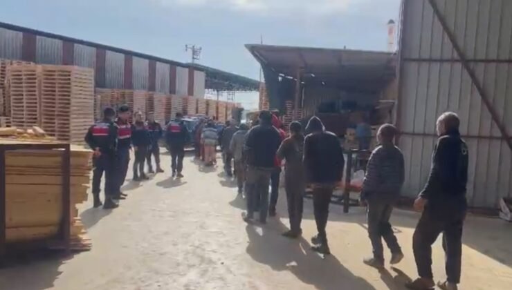 Göçmen kaçakçılarına operasyon