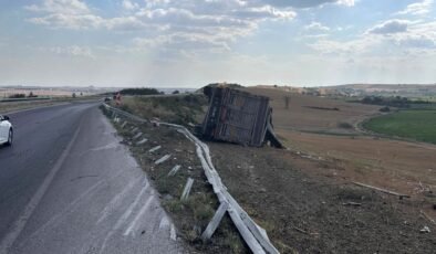 Buğday yüklü kamyon devrildi; sürücü yaralı