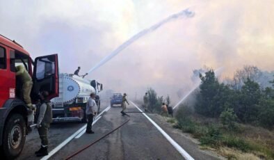 Meriç’teki orman yangını söndürüldü