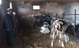 Sütte 30 lira çağrısı!