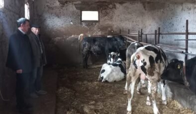 Sütte 30 lira çağrısı!