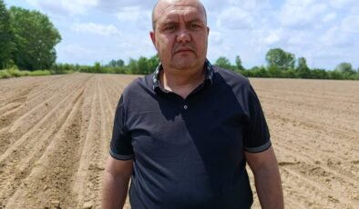 Ayçiçeği ve buğdayda ‘taban fiyat’ çağrısı