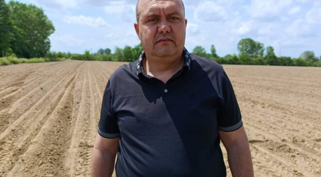 Ayçiçeği ve buğdayda ‘taban fiyat’ çağrısı