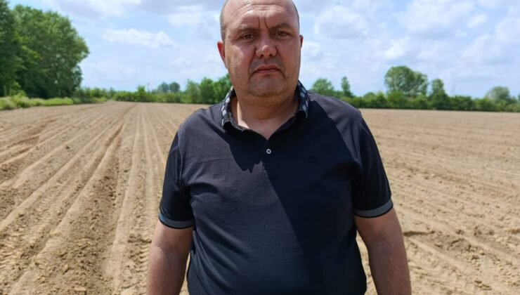 Ayçiçeği ve buğdayda ‘taban fiyat’ çağrısı