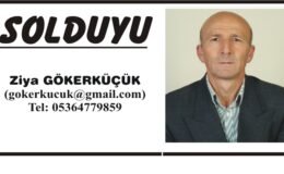 ÇEYREK DEMOKRASİ