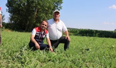 TAKE projesiyle karpuz üretimi