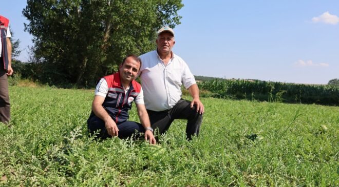 TAKE projesiyle karpuz üretimi