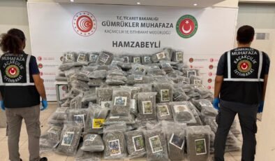 TIR’da 287 kilo esrar!