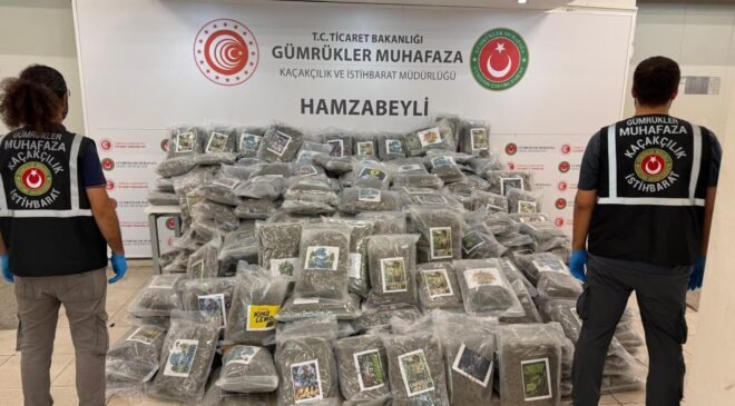 TIR’da 287 kilo esrar!