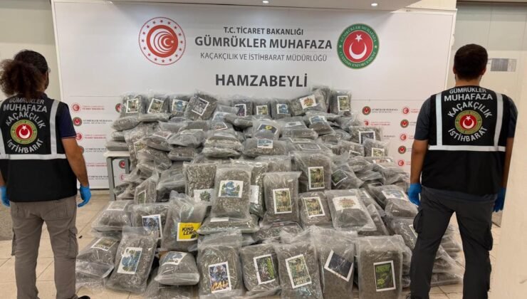 TIR’da 287 kilo esrar!