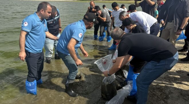 Tayakadın göletine 5 bin yavru sazan!