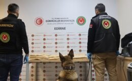 Kapıkule’de 50 kilo uyuşturucu ele geçirildi