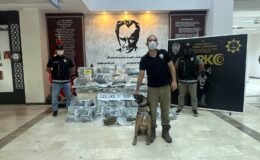 TIR’da 121 kilo 900 gram skunk!