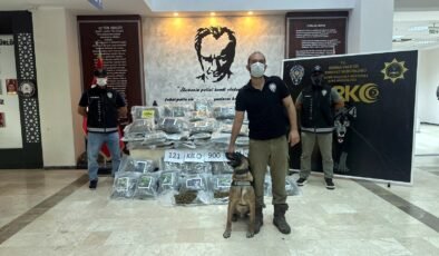 TIR’da 121 kilo 900 gram skunk!