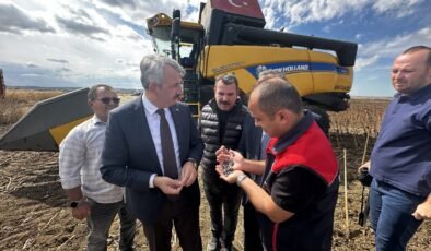Ayçiçeği’nde ‘yerli ve milli’ hasat