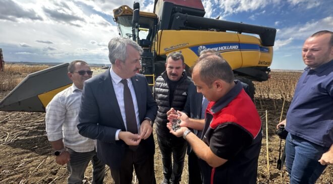 Ayçiçeği’nde ‘yerli ve milli’ hasat