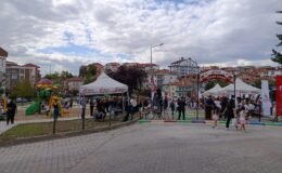 Bu sokak çocuklara ait!