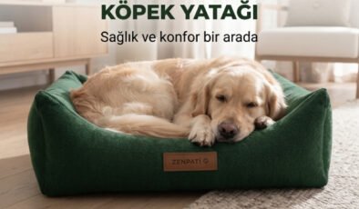Evcil Hayvan Wellness Dünyasında Yenilikçi Yaklaşım Kedi Köpek Yatakları Zenpati.com’da!