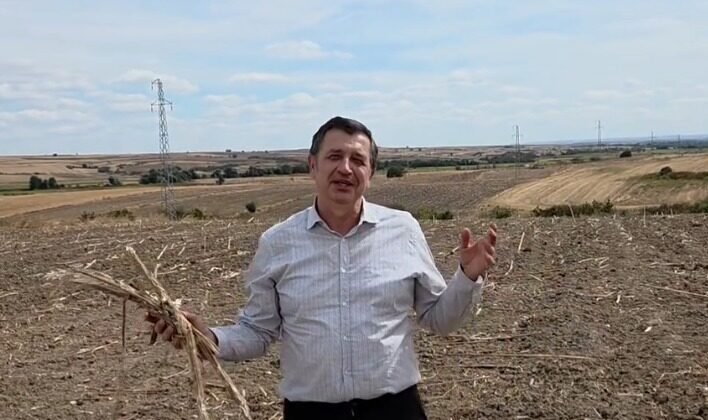 Ayçiçeğinde yüksek fiyat algısı!