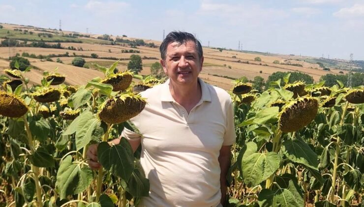 ‘Yüzde 40 yağlı ayçiçeği 40 TL olmalı’