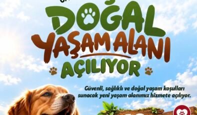 Sahipsiz hayvanlara 42 dönümlük yaşam alanı