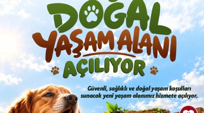 Sahipsiz hayvanlara 42 dönümlük yaşam alanı