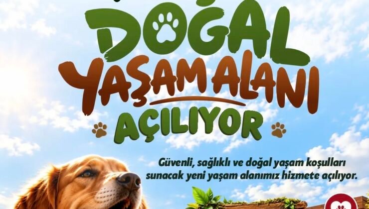 Sahipsiz hayvanlara 42 dönümlük yaşam alanı