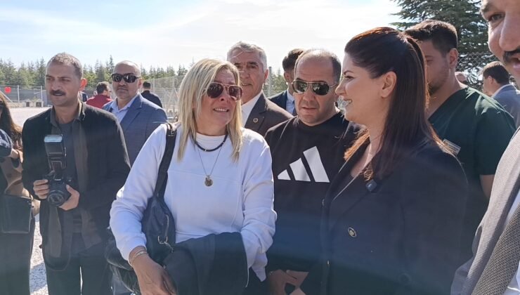Hayvan mezarlığında duygusal anlar