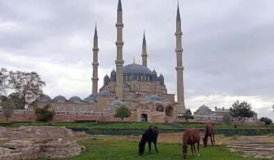 Veli Efendi değil, Selimiye meydanı(!)