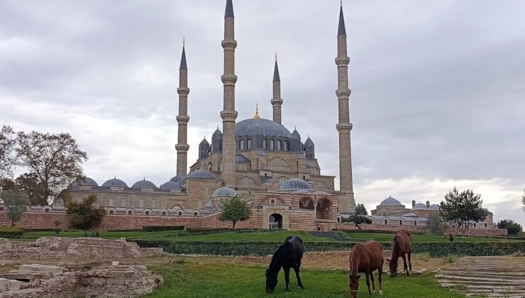 Veli Efendi değil, Selimiye meydanı(!)