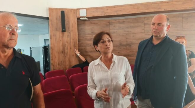 Kamusal alana ‘özel’ vize!