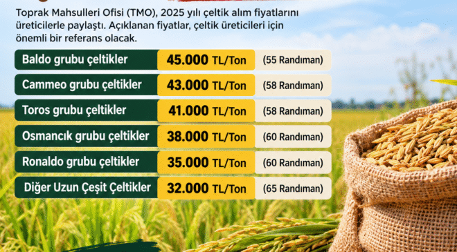 TMO çeltik alım fiyatlarını açıkladı