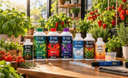 Organik mi Mineral mi? Doğru Bitki Besini Seçim Rehberi