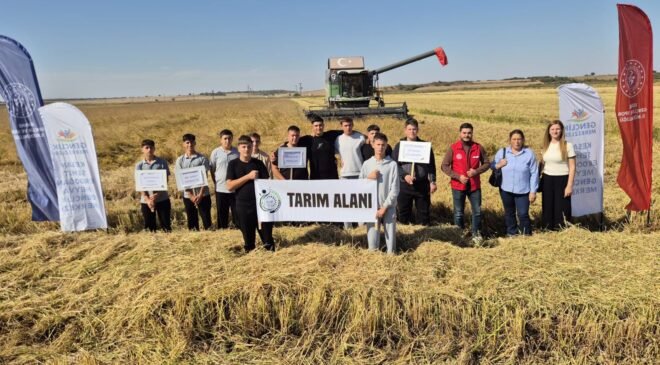 Liselilere çeltik hasadı deneyimi