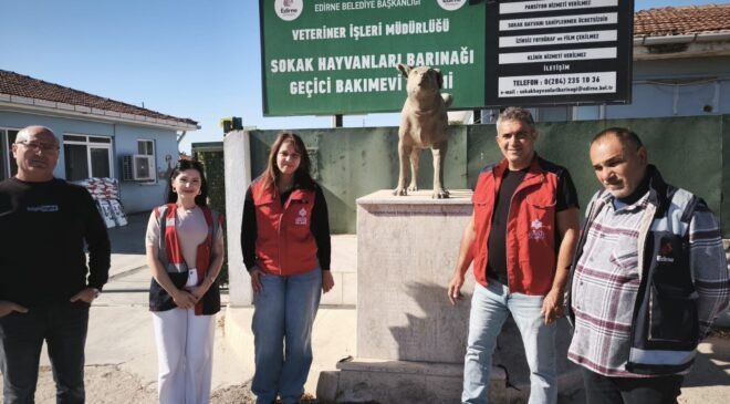 Vakıflar hayvanları unutmadı