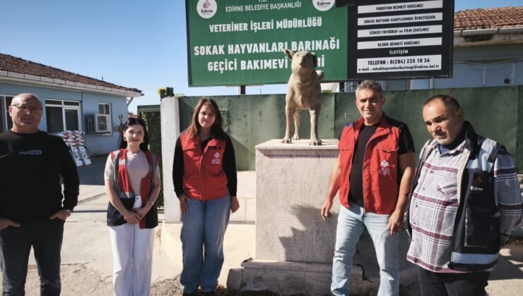 Vakıflar hayvanları unutmadı